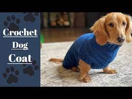 Crochet A Cozy Sweater For Your Furry