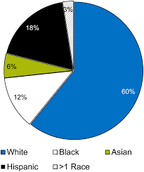 figure 7 racial ethnic distribution of