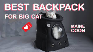 best backpack for big cat maine