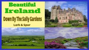 sally gardens irish celtic folk songs