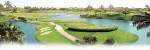 Home - Diamondback Golf Florida