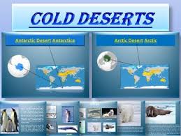 1 plastic spoon or fork. Arctic And Antarctic Animals Plants Interactive Powerpoint Presentation