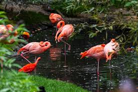 Best Zoo In Fort Lauderdale