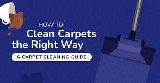 a carpet cleaning guide