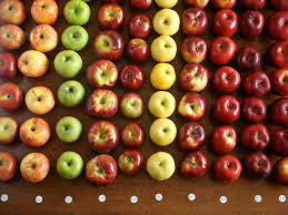 The Best Apples For Apple Pie The Food Lab Serious Eats