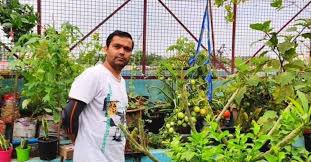 Grow Fresh Veggies In Plastic Bottles