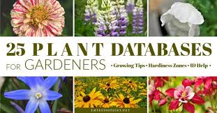 Plant Database Plants Creative Gardening