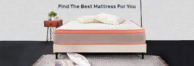 Buy Premium Mattress Sofa Cum Bed