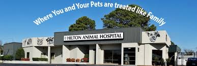 Charles witte vero beach veterinarian | planet pet. Hilton Animal Hospital Reviews Veterinarians At 9804 Warwick Blvd Newport News Va