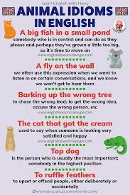 11 idioms in english learn