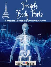 french body parts voary list with