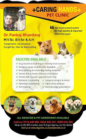 Dog cat rabbit rodent bird reptile/amphibian. Caring Hands Dog Cat Clinic In Sector 93 Noida 201304 Sulekha Noida