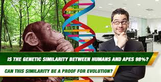 genetic similarity between humans