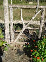 Rabbit Proof Fence Backyard Fences