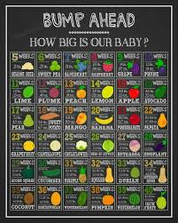 Baby Size Compared To Fruit Chart Chalkboard Baby How Big