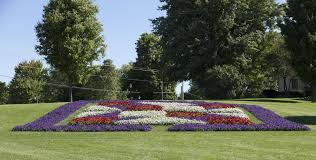 a quilt garden or array of flowers