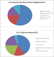 Tasnemas Media Blog Pie Chart Of My Results Questions 1 5