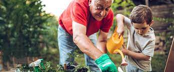 make gardening easier for seniors