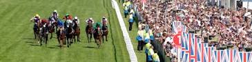 Image result for BHA: What will UK horseracing look like in 2040?