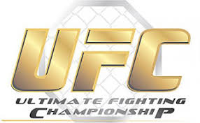 Resultado de imagem para MMA UFC - LOGOS