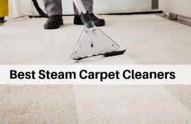 best carpet steam cleaners 2020