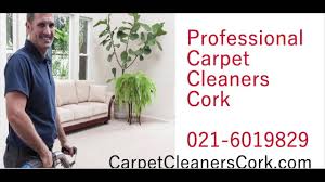 carpet cleaners cork 021 6019829