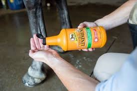 easing equine aches with liniment