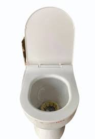 Floor Mounted Ceramic Western Toilet Seat
