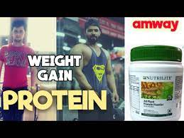 weight gain by amway pr0tein powder