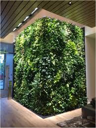Collection by janice hobelman • last updated 6 weeks ago. Living Wall Design Maintenance