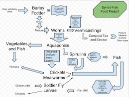 Updated Fish Food Project Flow Chart Symbi Biological
