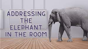 the elephant in the room team activity