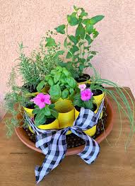 Diy Indoor Herb Garden Kit With Grow Light My Turn For Us