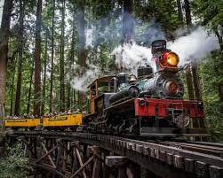roaring c train northern california