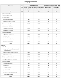 Common Size Balance Sheet Format