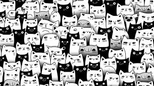 cute cat wallpapers world of printables
