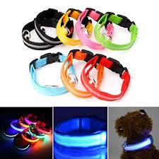 Spencer Led Dog Collar Usb Rechargeable Safety Light Up Glowing Pet Collars For Dog With Nylon Webbing 3 Glowing Modes 3 Reflective Strings Perfect For Small Medium Dogs S Xl Red Walmart Com