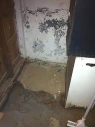 Moldy Basement In West Hartford Ct