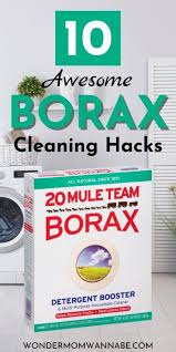 borax cleaning hacks