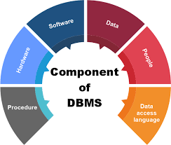 components of dbms javatpoint