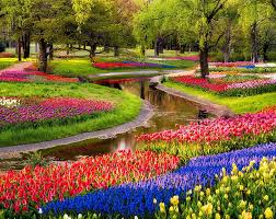 Hd Wallpaper Beautiful Spring Garden