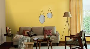 A Monochromatic Wall Color Combination