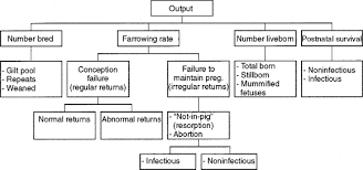 Farrowing Rate An Overview Sciencedirect Topics