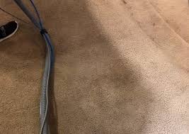 carpet cleaning pensacola fl