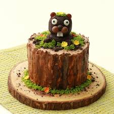 adorable groundhog day cake