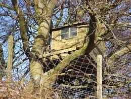 il se construit une cabane sur un arbre