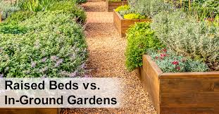 Raised Garden Beds Vs In Ground