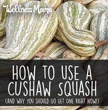 how to cook use cushaw squash