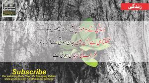 Best urdu quotes images in 2020 islamic. 29 Best Quotes About Life In Urdu Quotes On Zindagi Quotes
