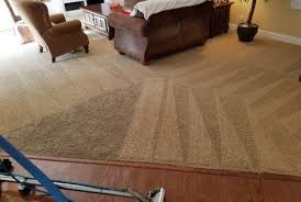 carpet upholstery cleaning new port